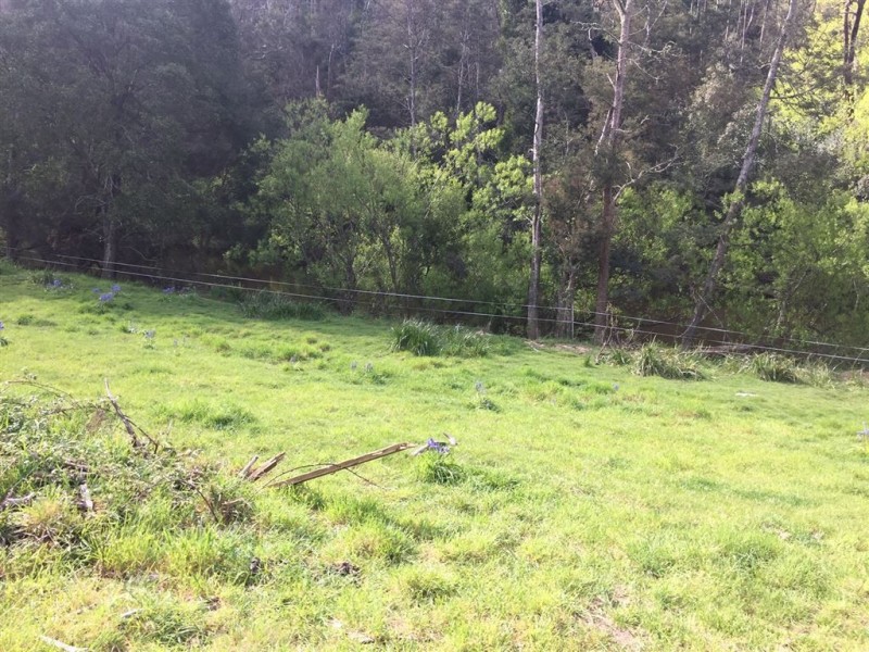 5-7 Main Street, Derby TAS 7264