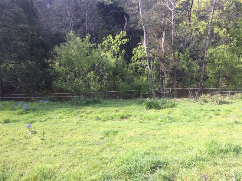 5-7 Main Street, Derby TAS 7264