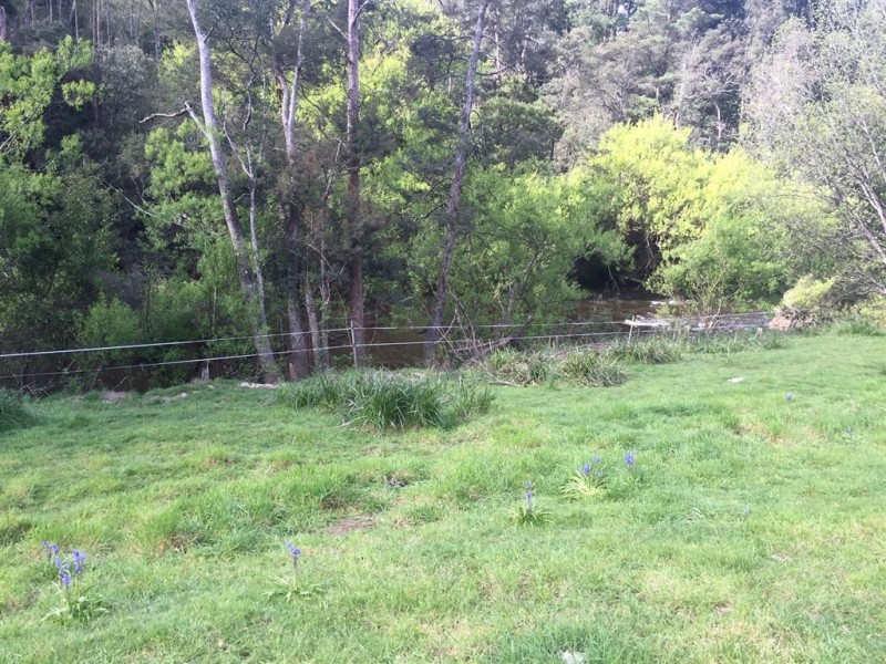 5-7 Main Street, Derby TAS 7264