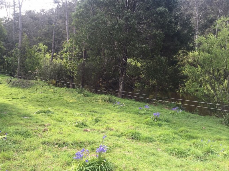 5-7 Main Street, Derby TAS 7264