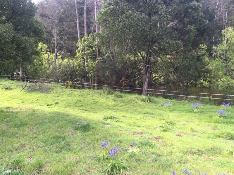 5-7 Main Street, Derby TAS 7264