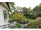 17 Fry Street, Ringarooma TAS 7263