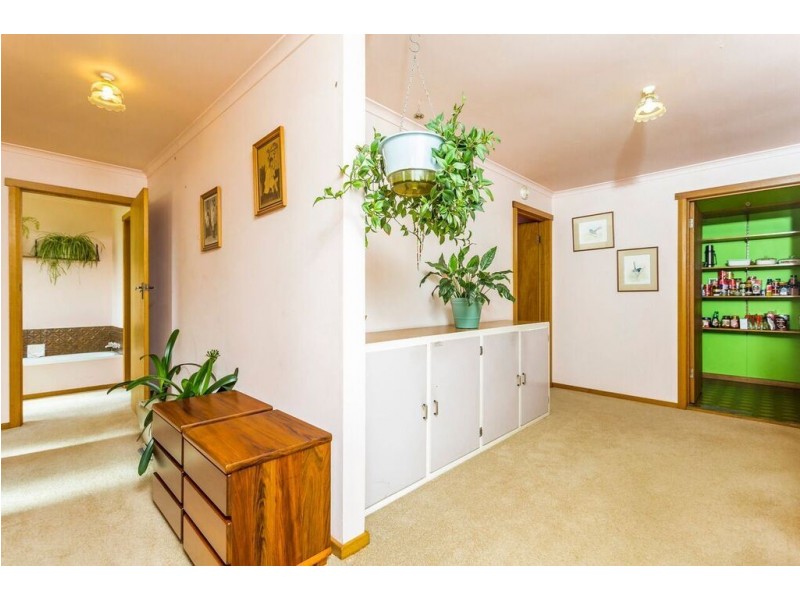 28 Alfred, Scottsdale TAS 7260