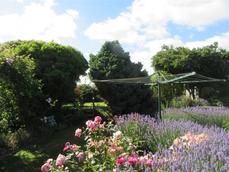 28 Ruby Flats Road, Ringarooma TAS 7263