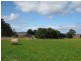 257 Bacala Road, Tunnel TAS 7254