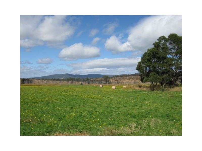 257 Bacala Road, Tunnel TAS 7254