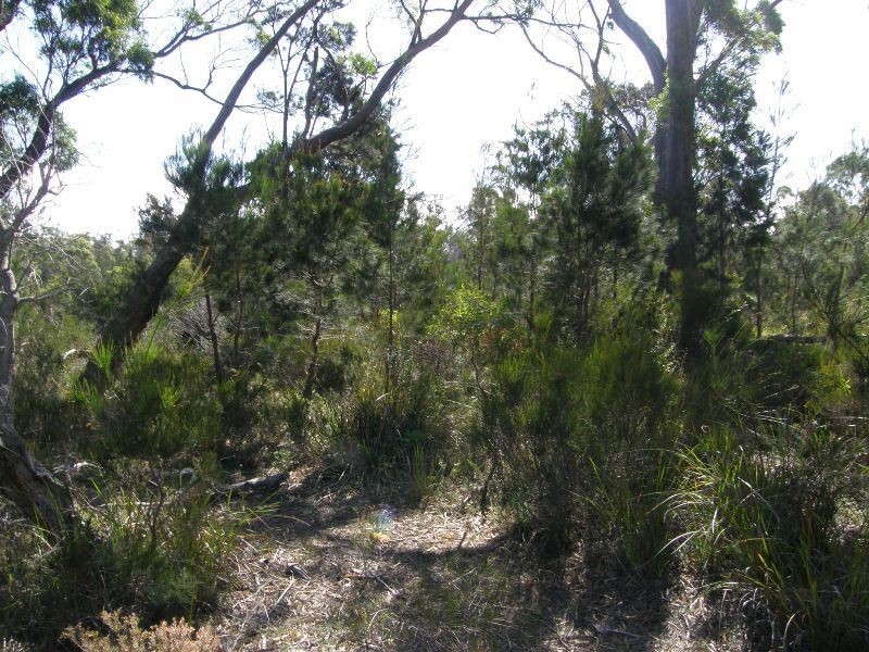 Part/ 13 North Ansons Road, Gladstone TAS 7264