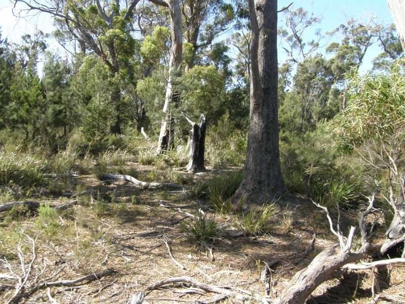 Part/ 13 North Ansons Road, Gladstone TAS 7264