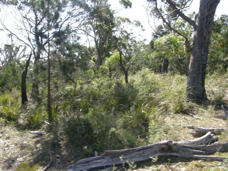 Part/ 13 North Ansons Road, Gladstone TAS 7264