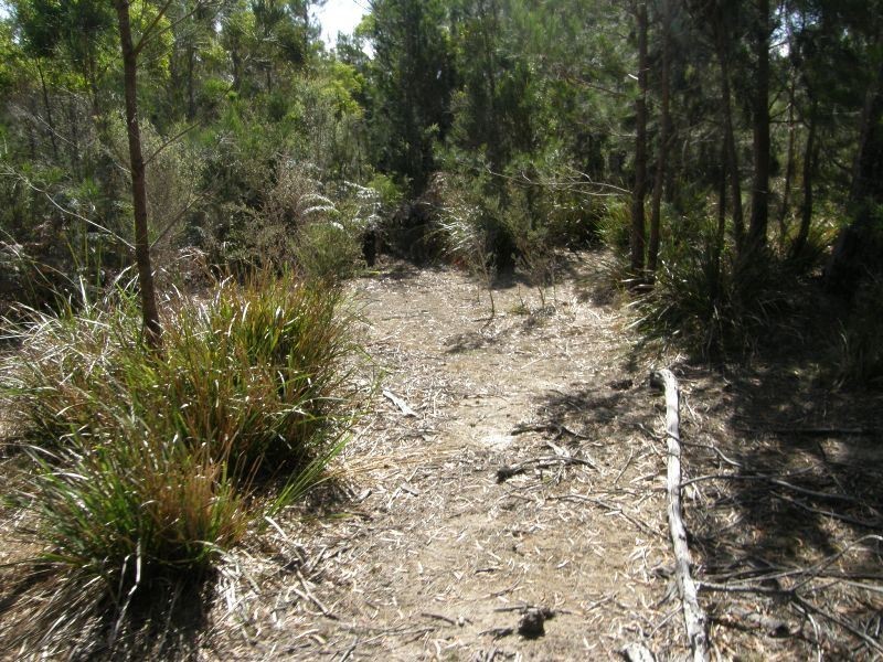 Part/ 13 North Ansons Road, Gladstone TAS 7264