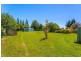 11 Ruby Flats Road, Ringarooma TAS 7263