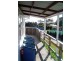 117 Main Street, Bridport TAS 7262