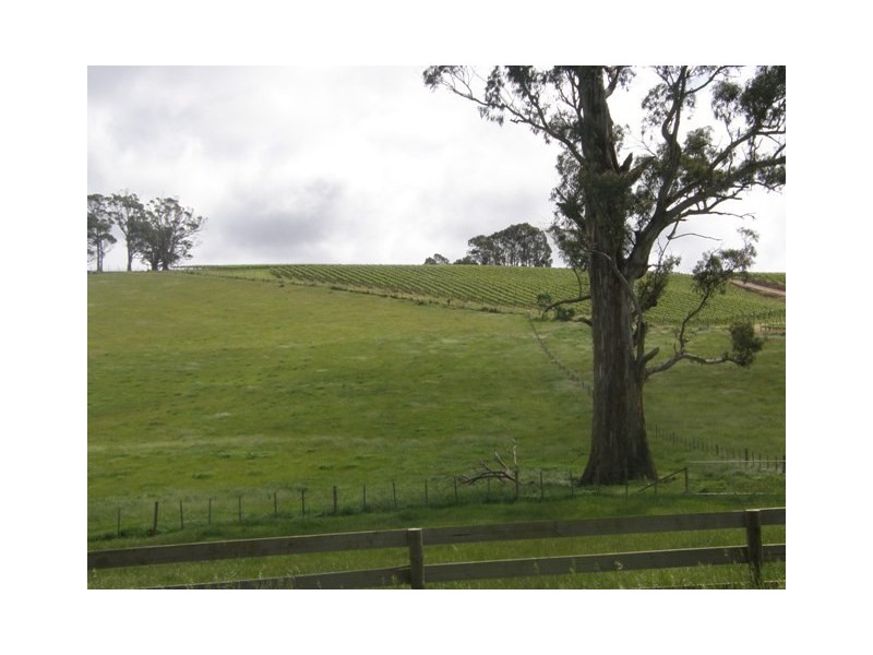 1311 Pipers Brook Road, Pipers Brook TAS 7254