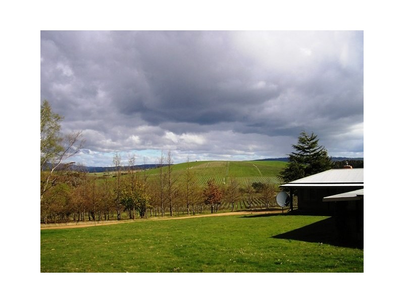 1216 Pipers Brook Road, Pipers Brook TAS 7254