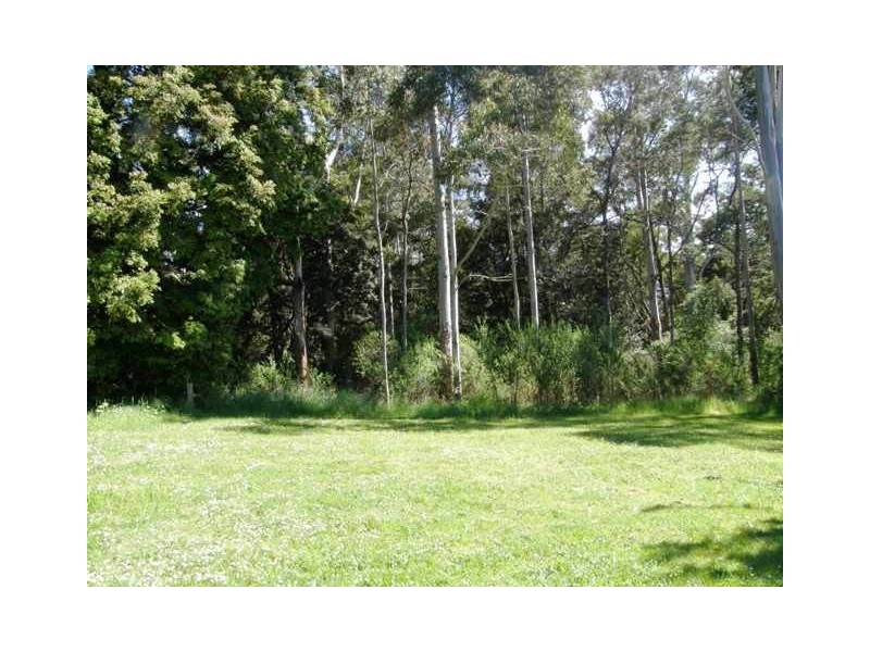 1 Bundell Street, Weldborough TAS 7264