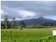 16 Ruby Flats Road, Ringarooma TAS 7263
