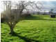16 Ruby Flats Road, Ringarooma TAS 7263