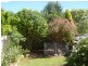 61 King Street, Scottsdale TAS 7260