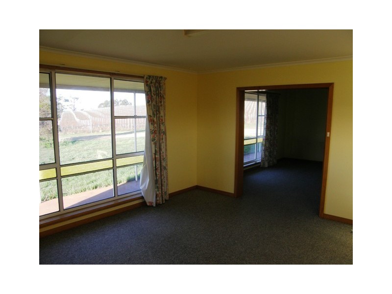 1079 Pipers Brook Road, Bridport TAS 7262