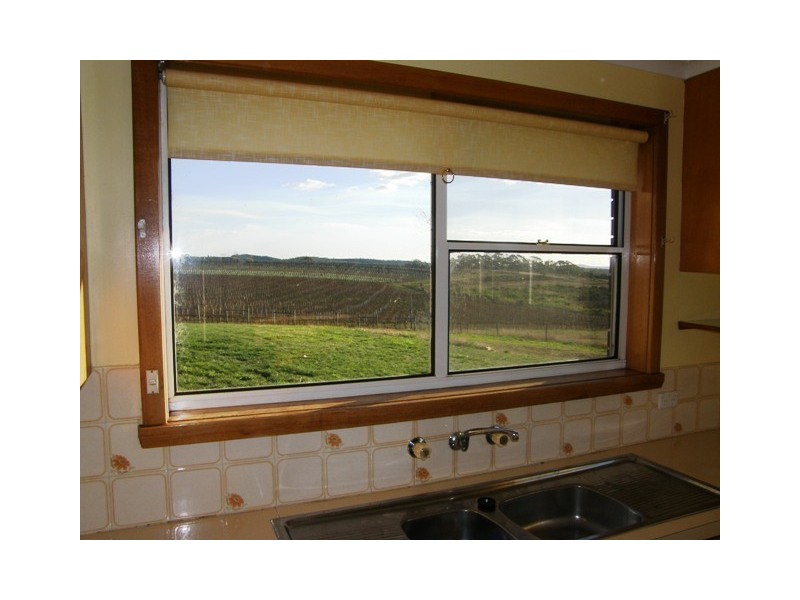 1079 Pipers Brook Road, Bridport TAS 7262