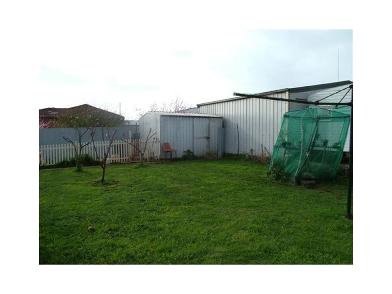 5 McGilp Street, Scottsdale TAS 7260