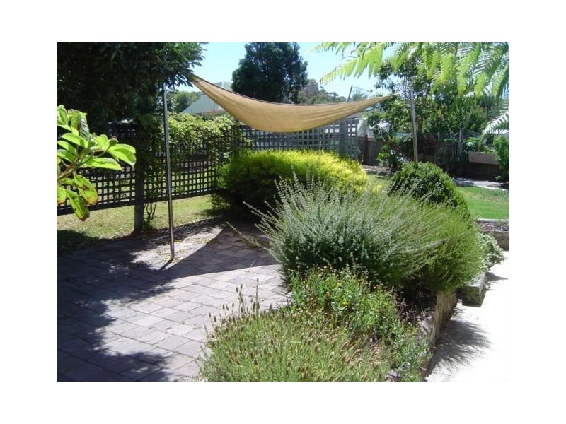 10 Alfred Street, Bridport TAS 7262