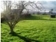 16 Ruby Flats Road, Ringarooma TAS 7263