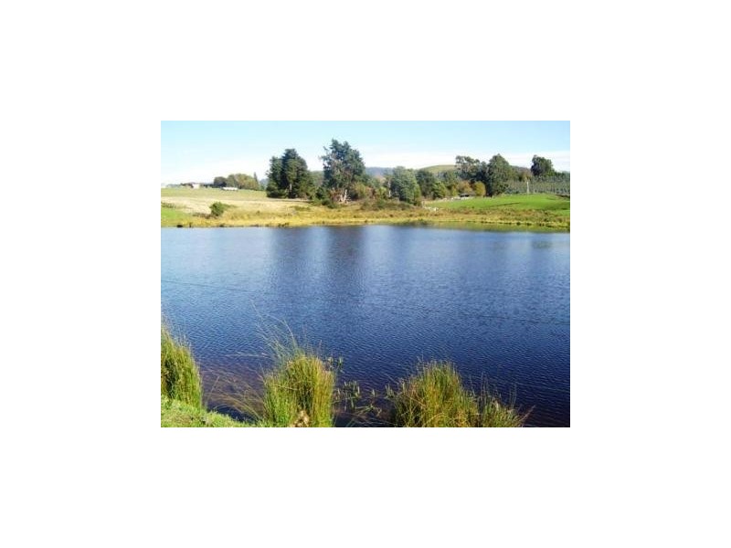 35917 Tasman Highway, Scottsdale TAS 7260