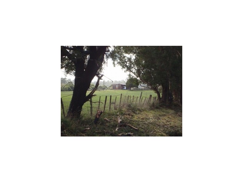 1152 Forester Road, Scottsdale TAS 7260