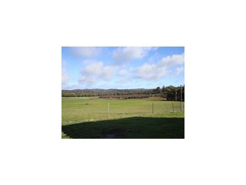 1152 Forester Road, Scottsdale TAS 7260