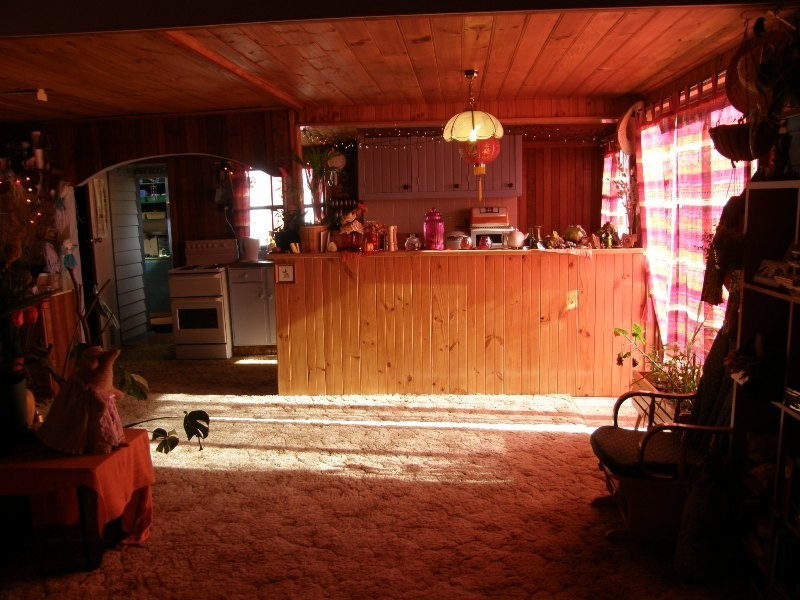 3-5 Church Street, Derby TAS 7264