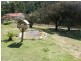 9 Renison Street, Derby TAS 7264