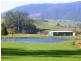 35917 Tasman Highway, Springfield TAS 7260
