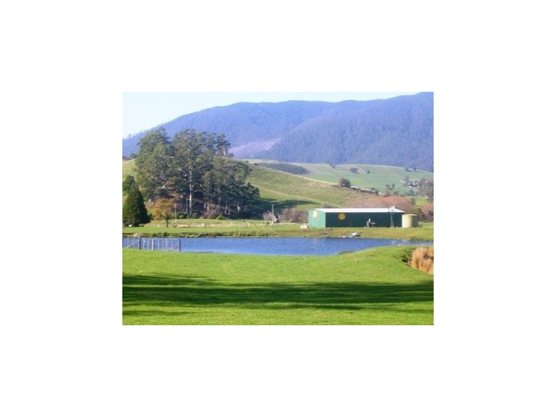 35917 Tasman Highway, Springfield TAS 7260