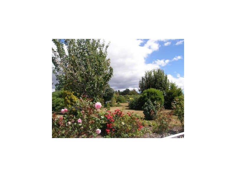 16 Fry Street, Ringarooma TAS 7263