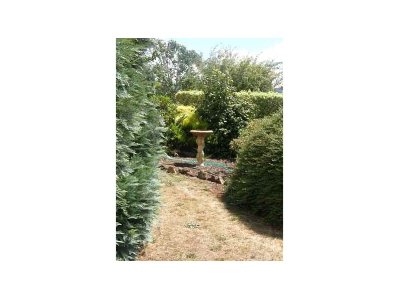 16 Fry Street, Ringarooma TAS 7263