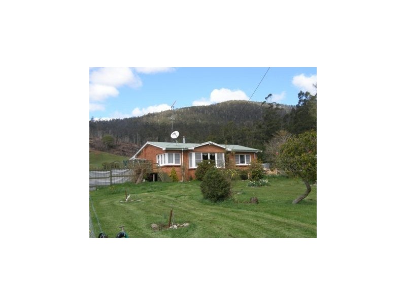 281 Alberton Road, Ringarooma TAS 7263
