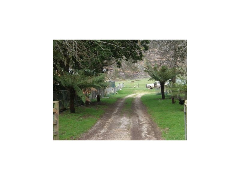 281 Alberton Road, Ringarooma TAS 7263
