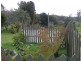 281 Alberton Road, Ringarooma TAS 7263