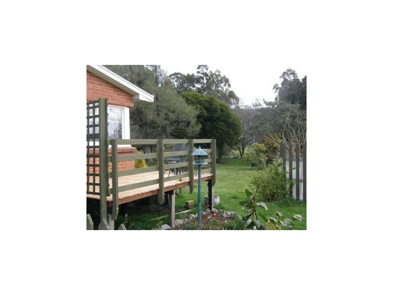 281 Alberton Road, Ringarooma TAS 7263