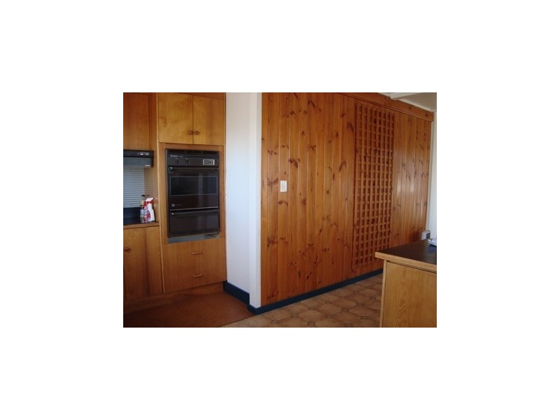 24 Ellenor St, Scottsdale TAS 7260