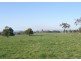 164 Boddingtons Road, Bridport TAS 7262