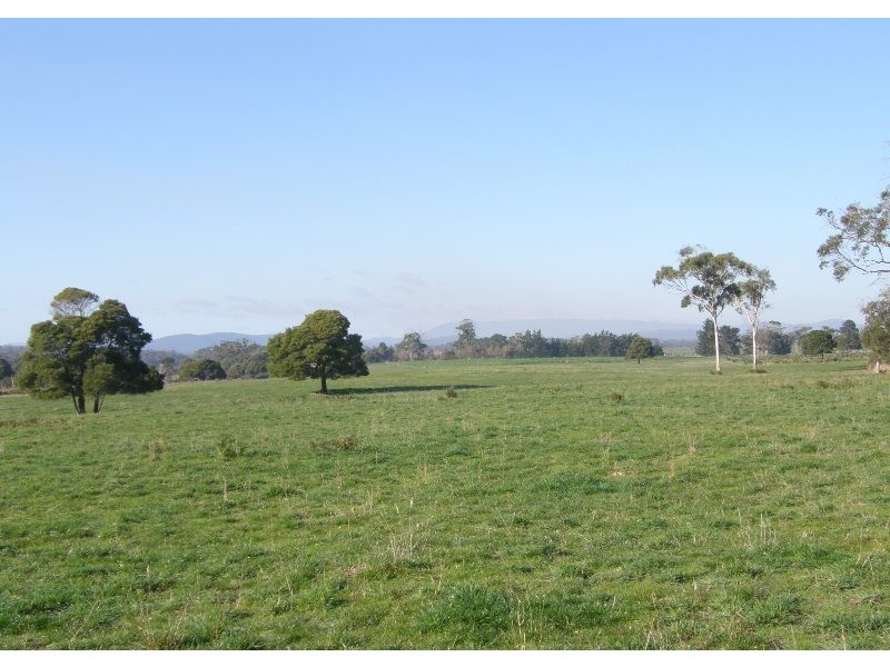 164 Boddingtons Road, Bridport TAS 7262