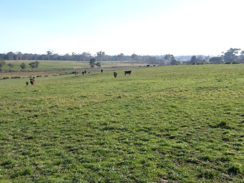 164 Boddingtons Road, Bridport TAS 7262