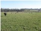 164 Boddingtons Road, Bridport TAS 7262