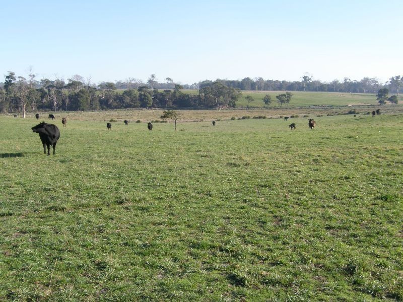 164 Boddingtons Road, Bridport TAS 7262
