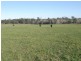 164 Boddingtons Road, Bridport TAS 7262