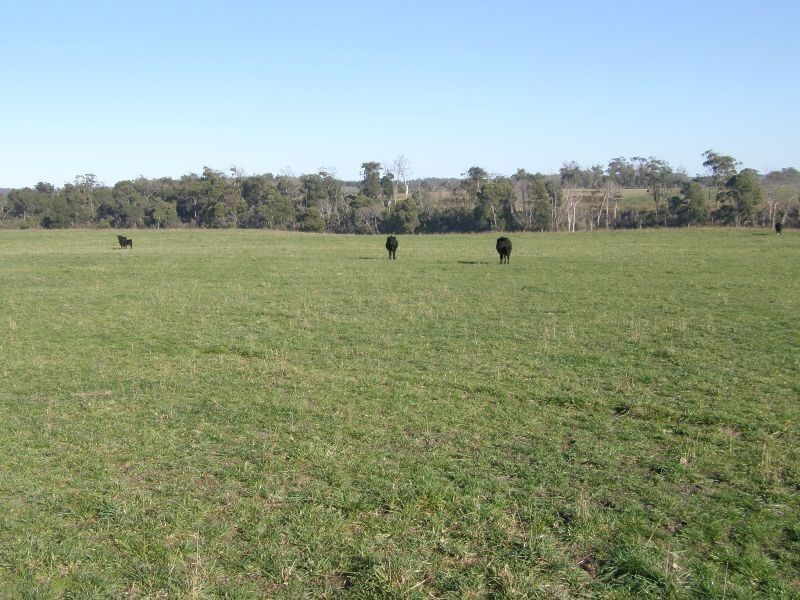 164 Boddingtons Road, Bridport TAS 7262