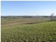 164 Boddingtons Road, Bridport TAS 7262