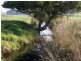 164 Boddingtons Road, Bridport TAS 7262